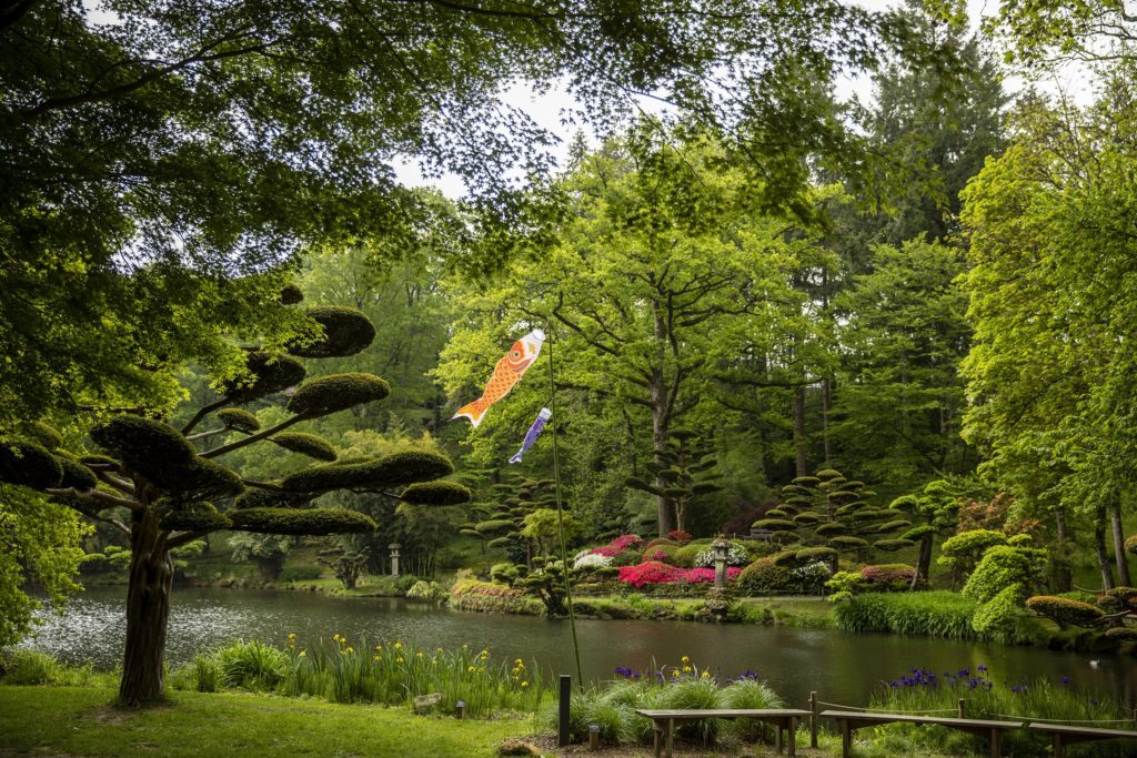 Jardin du Parc Oriental de Maulévrier