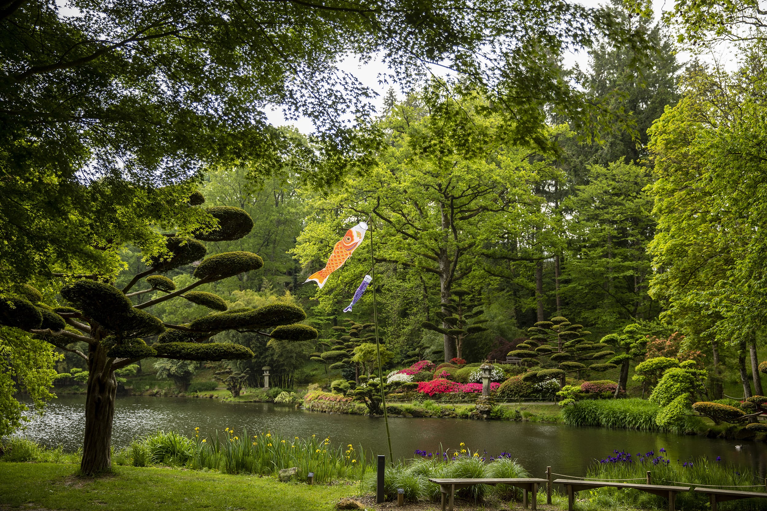 Animation au Parc Oriental : Réalisation d'un paysage japonais miniature  (Bonkei/Saikei), Animations à MAULEVRIER