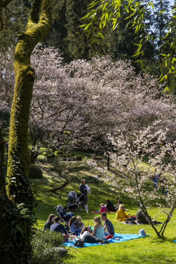 Hanami Parc oriental public