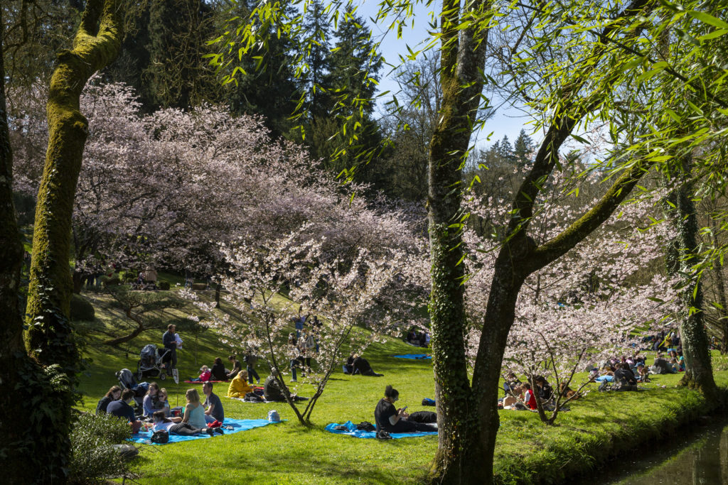 Hanami Parc oriental public