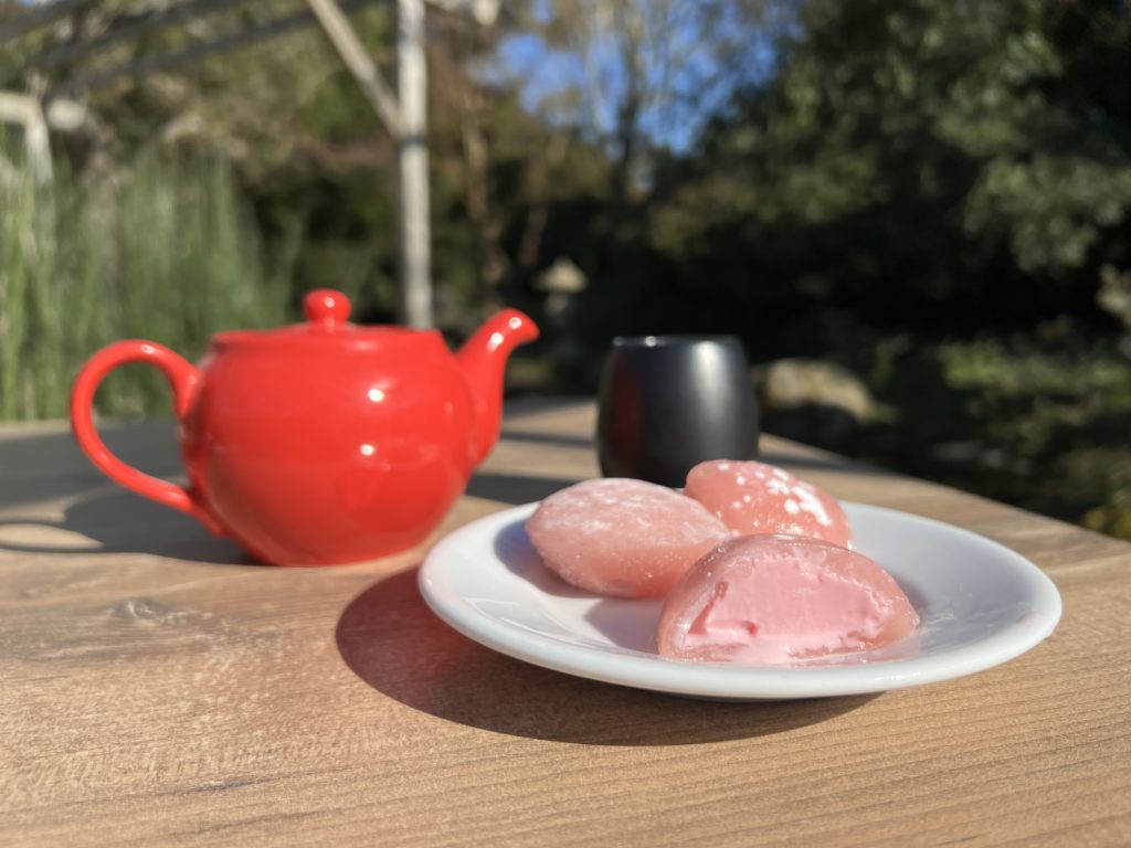 mochi glacé sakura, hanami