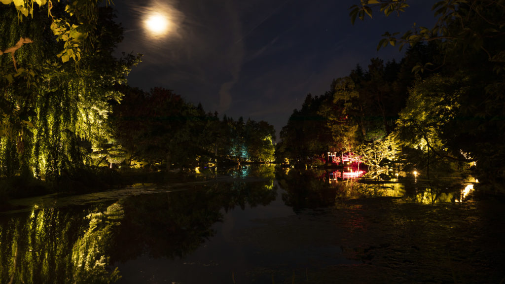 Promenades de nuit, pleine lune