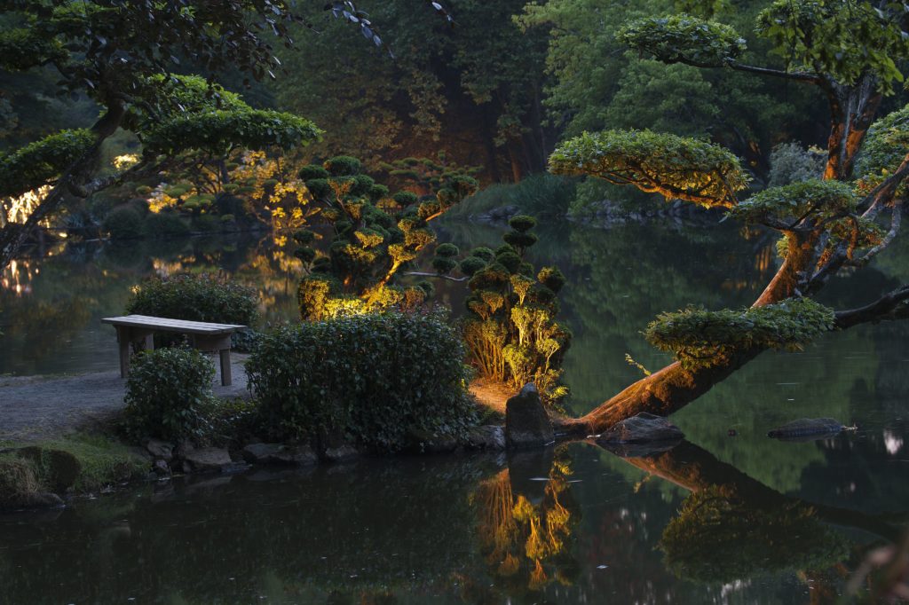 Promenade de nuit, niwaki, reflets