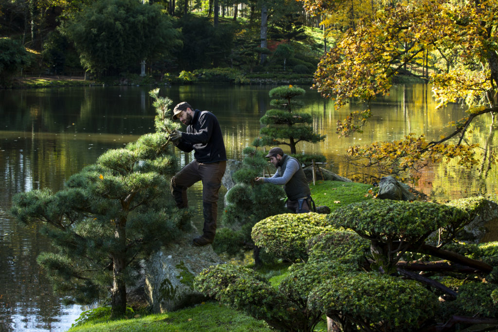 jardiniers parc oriental niwaki