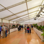 salon national du bonsaï parc oriental 2022