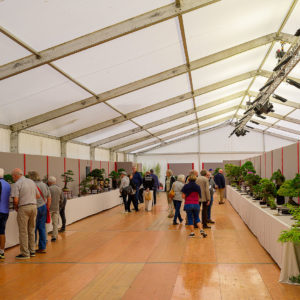 salon national du bonsaï parc oriental 2022