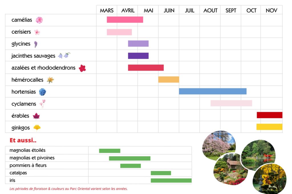 calendrier des floraisons au Parc Oriental pour l'année 2024, tableau des floraisons