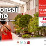 bonsai sho bannière site web