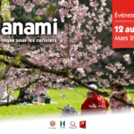 Hanami 2026