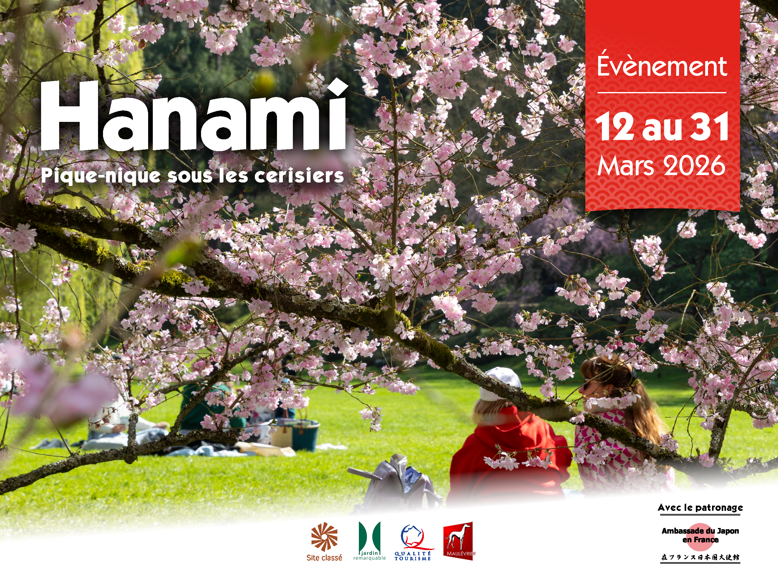 hanami bannière site web