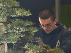 Cédric CHAMBERLAND